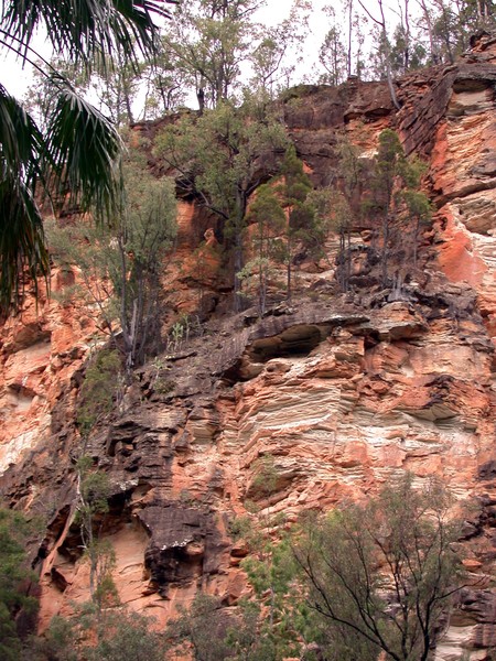 Cliff